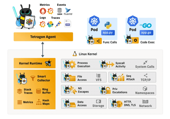 Auditing of eBPF Programs with Tetragon